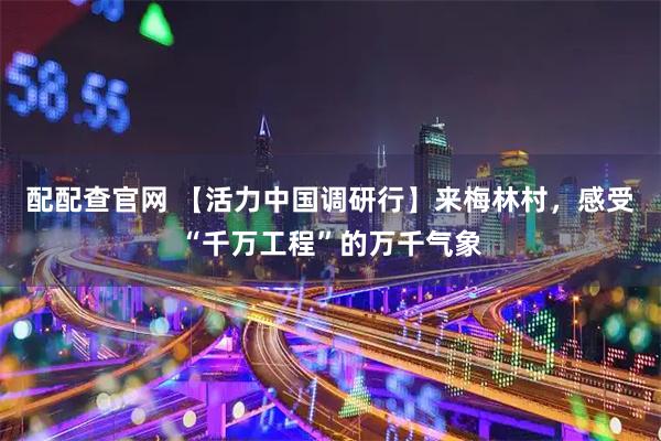 配配查官网 【活力中国调研行】来梅林村，感受“千万工程”的万千气象