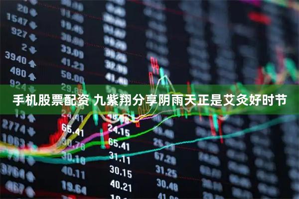 手机股票配资 九紫翔分享阴雨天正是艾灸好时节