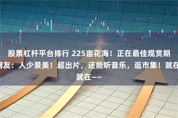 股票杠杆平台排行 225亩花海！正在最佳观赏期！网友：人少景美！超出片，还能听音乐，逛市集！就在——